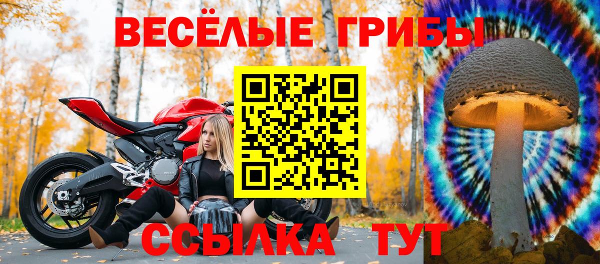 Галлюциногенные грибы прущие грибы Кинель